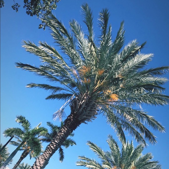 Meet your Posher, Logan - Picture 1 of 1